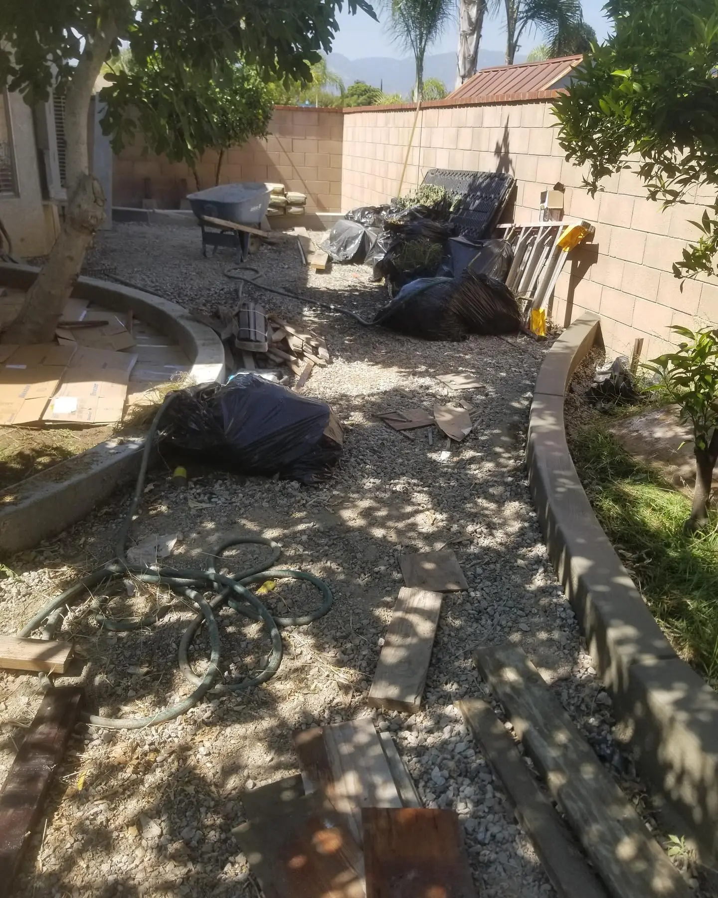 Turf installation with a curved cement curb offers a clean, modern by Mountain Ridge Renovations